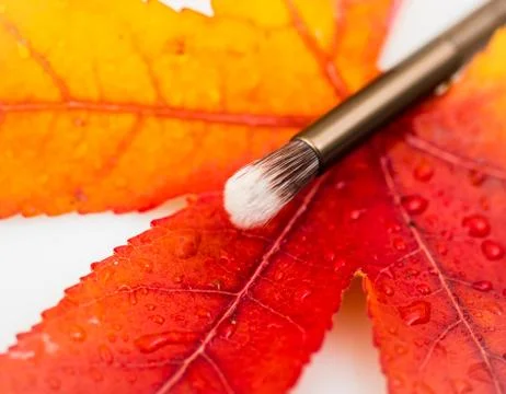 Makeup brush Stock Photos