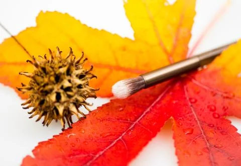 Makeup brush Stock-Fotos