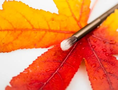 Makeup brush Stock Photos