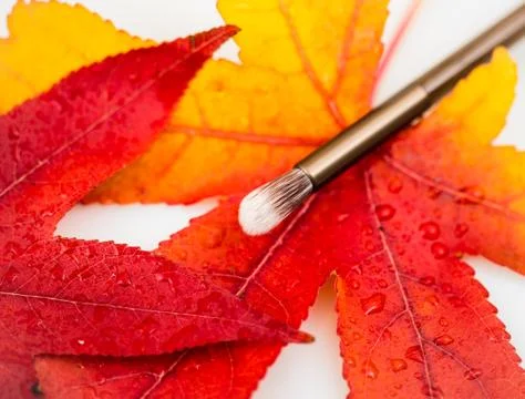 Makeup brush Stock Photos