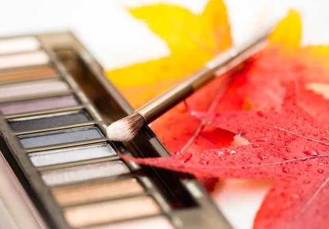 Makeup brush Stock Photos