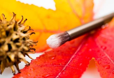 Makeup brush Stock Photos