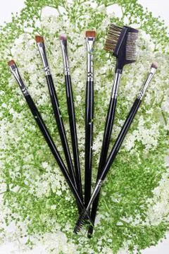 Makeup brushes set. Alyssum. White background Stock Photos