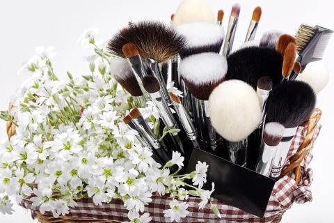 Makeup brushes set in crib with flowers. Chickweed. White background Stock Photos