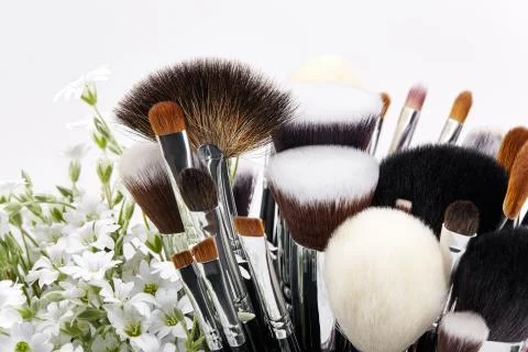 Makeup brushes set with flowers. Chickweed. White background Stock Photos