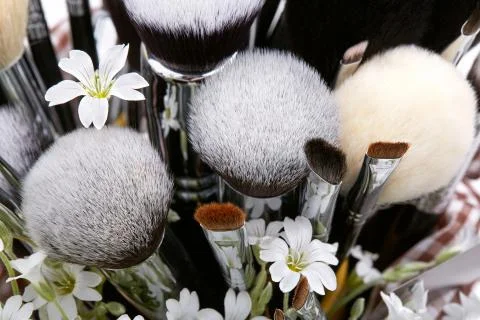 Makeup brushes set with flowers. Chickweed. White background Stock Photos