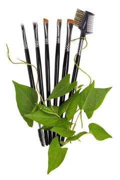 Makeup brushes set. Pothos. Isolated. White background Foto stock
