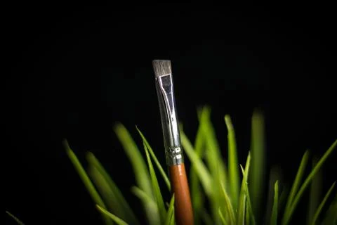 Makeup dark background with brush and grass Stock Photos