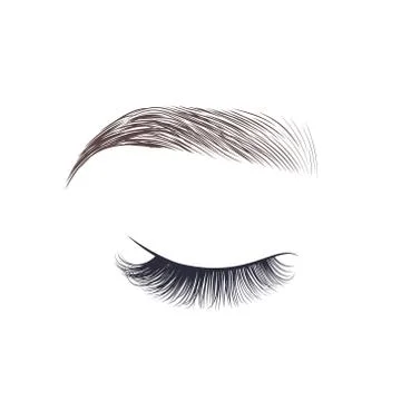 Makeup eyebrows. Closed eyes with long eyelashes. Stock Illustration