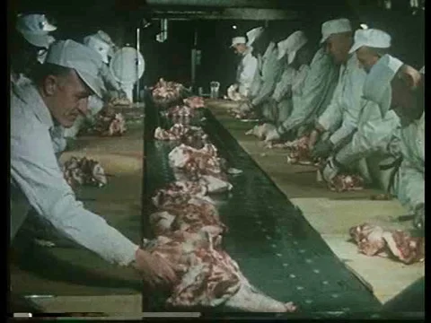 The making and packaging of Spam at the Hormel factory. Stock Footage 75096246