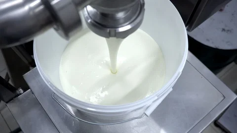 Making and spilling yogurt from milk into buckets. Making milk products, close Stock Footage