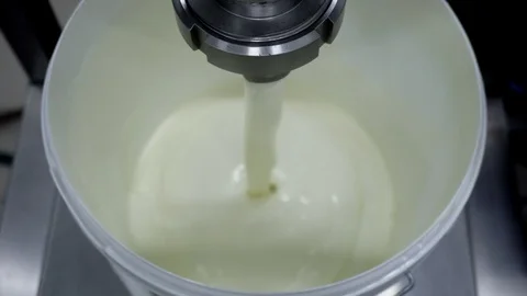 Making and spilling yogurt from milk into buckets. Making milk products, close Vídeo Stock 129684733