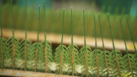 Making artificial Christmas trees. Plastic New Year's Tree Stock Footage 260413603