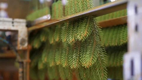 Making artificial Christmas trees. Plastic New Year's Tree Stock Footage 260413965