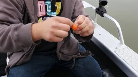 Making bait for sturgeon. 스톡 동영상 74686409