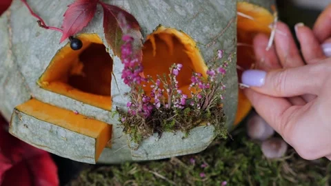 Making beautiful autumn lantern from pumpkin, put lightning inside pumpkin house Stock Footage 250779229