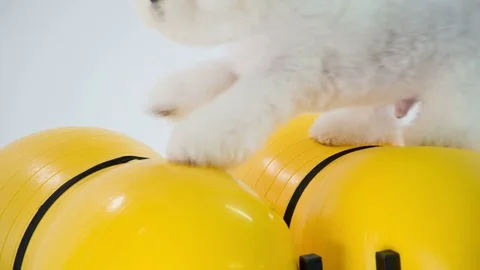 Making a big jump on two yellow balls Stock Footage 83773147