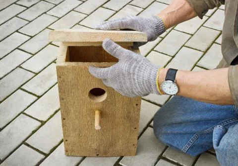 Making  birdhouse Stock Photos