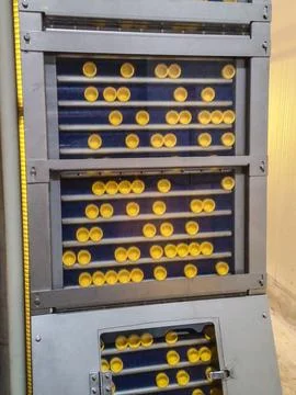 Making the bottle cap, passing through the conveyor belt. Foto stock