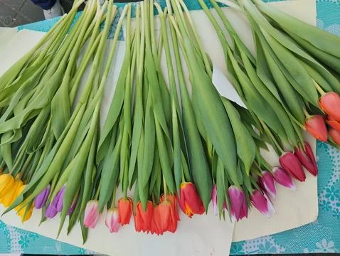 Making bouquets of flowers upper angle. The season of selling flowers on the Stock Photos