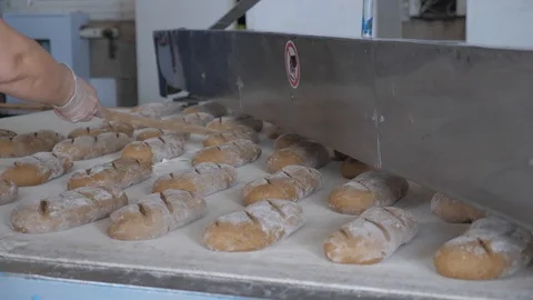 Making bread at the bakery Stock Footage 128581461