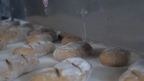 Making bread at the bakery Stock Footage 128581575