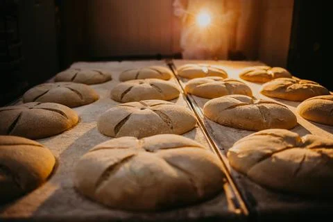 Making bread in bakery. Uncooked bread dough on a rack ready for baking in .. Stock Photos