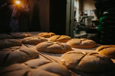 Making bread in bakery. Uncooked bread dough on a rack ready for baking in .. Stock Photos