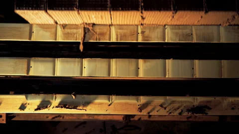 Making bricks on a conveyor belt Stock Footage 132776879