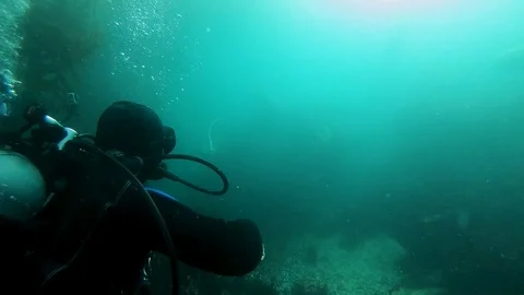 Making Bubble Rings to Get Attention of Sea Lions Stock Footage 129099295