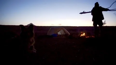 Making a camp fire towards sunset Dog + man and camping tent Stock Footage 259844671
