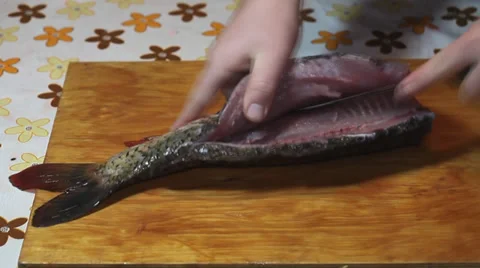 Making carp fillet Stock Footage 36005362