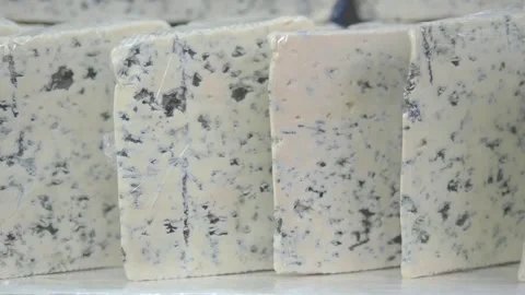 Making cheese from blue mold in a small factory Stock Footage 338041822