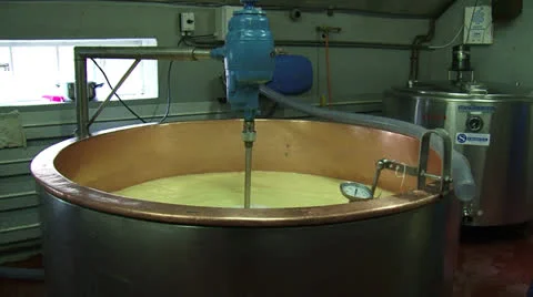 Making cheese: curd mass in copper cauldron + pan cheese molds Stock Footage 22581635
