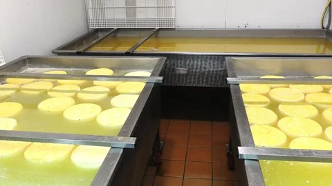 Making cheese in a dairy facility with large containers and fresh curds in the p Stock Footage 325733167