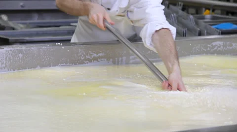 Making cheese in dairy factory Stock Footage 33641715