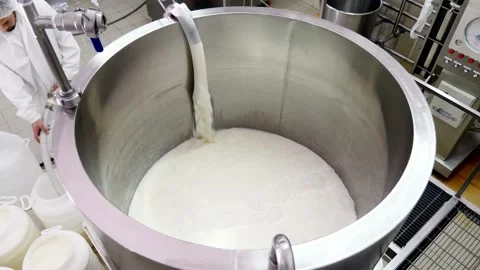 Making Cheese Mixing of cheese inside large industrial stainless steel tank Stock Footage 336444415