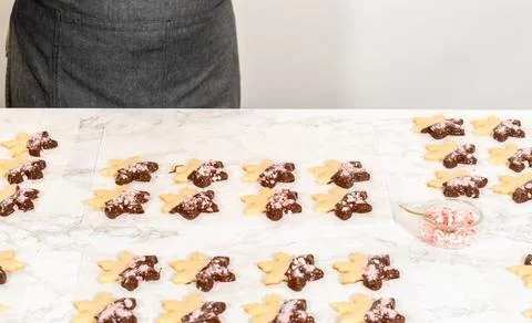 Making Chocolate Dipped Peppermint Sugar Cookies Stock Photos