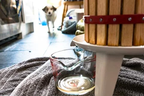 Making cider with Scarlett Stock Photos