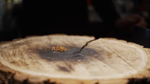 Making a cocktail Stock Footage 123543119