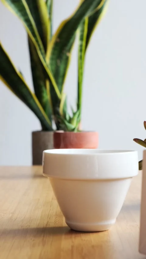 Making coffee. Speciality coffee at home. Fragrant freshly brewed coffee smokes Stock Footage 153603338