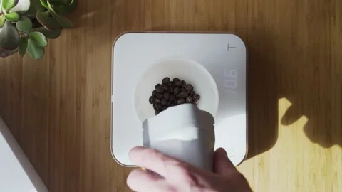 Making coffee. Speciality coffee at home. Barista weighs a portion of coffee Stock Footage 153603833