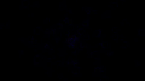 Making colorful soap bubbles background, Animation blue soap bubble on blac.. Video stock 310417244