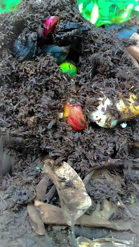 Making compost from fruit and vegetables waste Видео 330234770