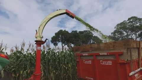 Making Corn Silage Video stock 92695147