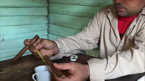 Making Cuban Cigars Local - Vinales Cuba Stock Footage 116529546