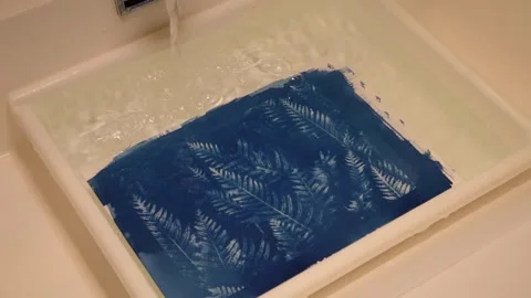 Making Cyanotypes -  02 스톡 동영상 265677749
