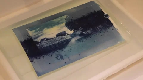 Making Cyanotypes - 04 스톡 동영상 265677878