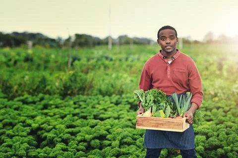 Making a difference starts with you. a handsome young male farmer carrying a Stock Photos