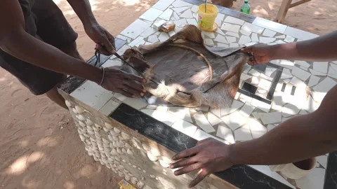 Making Djembe Drum Head with Goat Skin Stock Footage 303912445